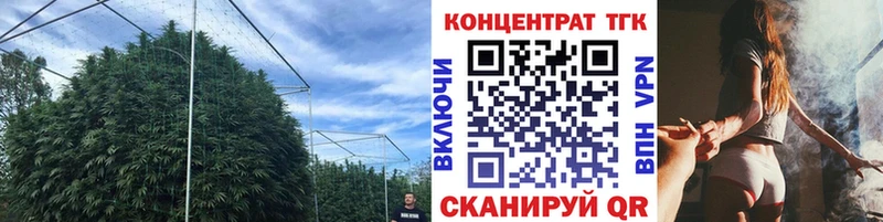 ссылка на мегу ссылка  купить наркоту  Лагань  Дистиллят ТГК Wax 
