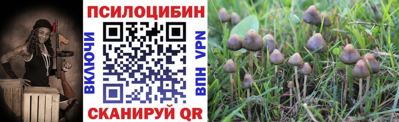 Галлюциногенные грибы ЛСД  ссылка на мегу как зайти  Лагань  купить закладку 